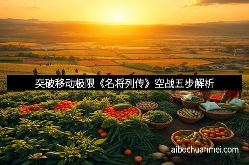 突破移动极限《名将列传》空战五步解析